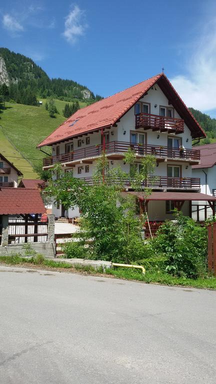 Pensiunea Malina Moeciu De Sus Exterior foto